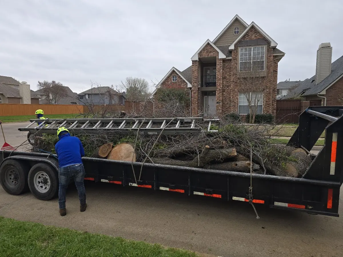 Expert Tree Pest Control with proper safety equipment in Port Townsend